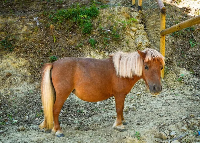 Bed & Breakfast 1870